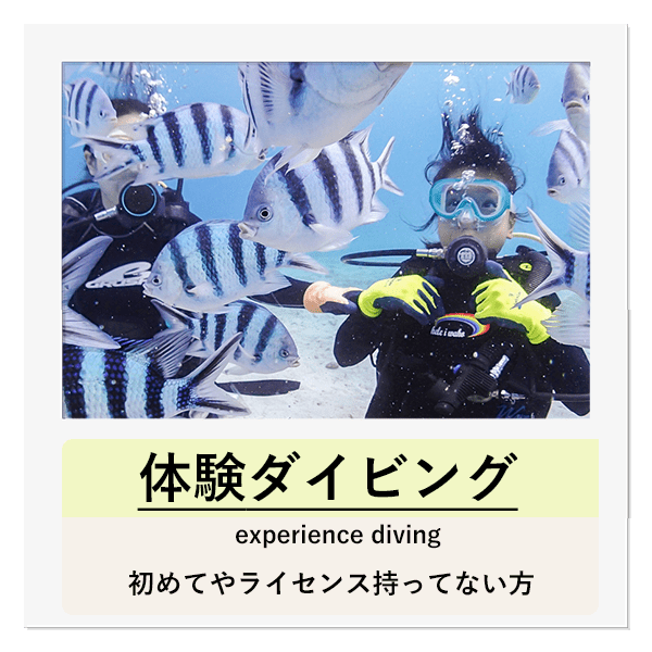 体験ダイビング
