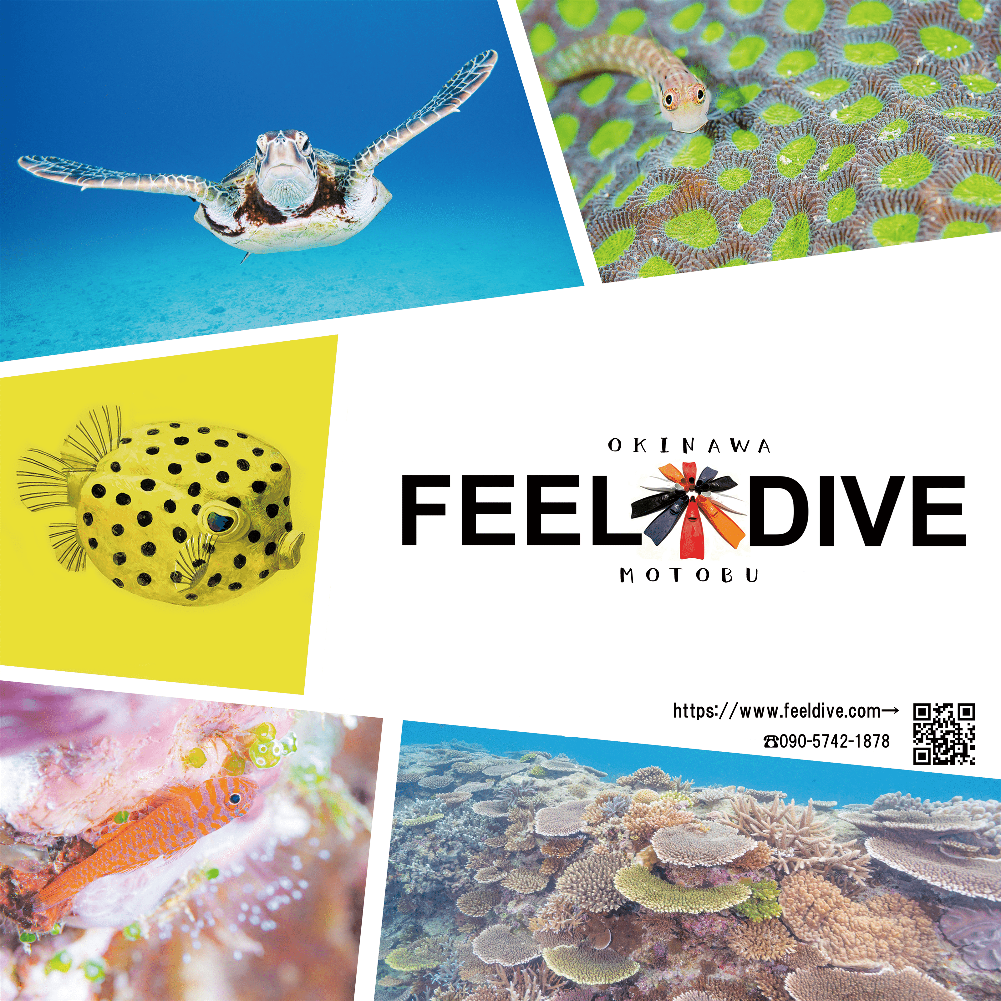 フィールダイブ看板